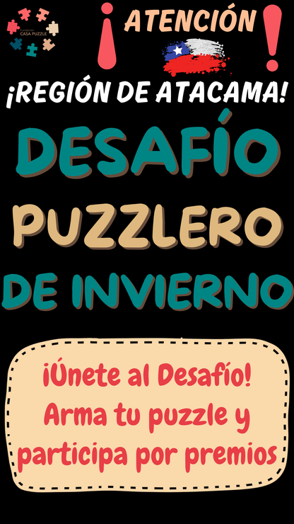Desafío Puzzlero de Invierno Región de Atacama