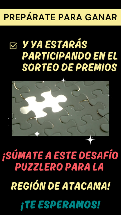 Desafío Puzzlero de Invierno Región de Atacama