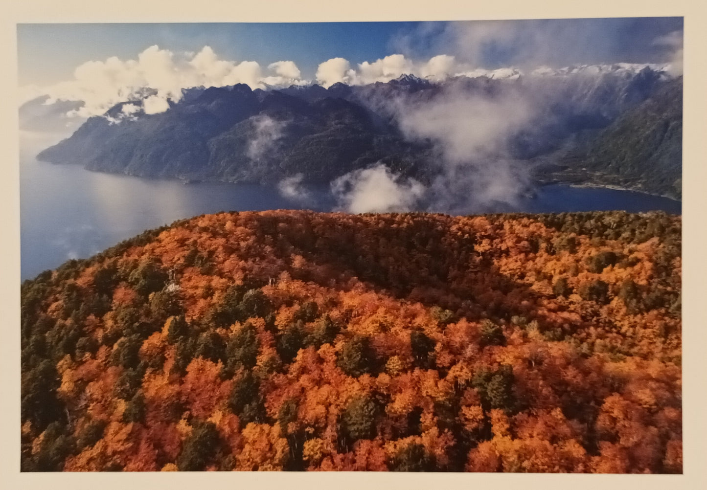 Desafío de Otoño 1000 piezas