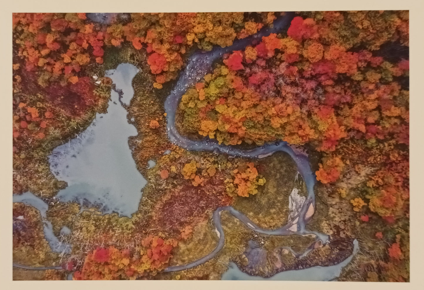 Desafío de Otoño 1000 piezas